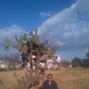 ���������� �������, ���� ������� ������, 45 ���, ������������ ��� ������, ����� � ���������, c�������� ���������