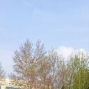 ���������� �������, ���� ����� Sayan, 23 ����, ������������ ��� ������, ����� � ���������