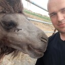 ���������� ������, ���� ������� ����, 37 ���, ������������ ��� ������, ����� � ���������, c�������� ���������