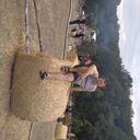 ���������� �������, ���� ������� ����, 42 ����, ������������ 