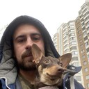 ���������� ������, ���� ������� ����, 37 ���, ������������ ��� ����� � ���������, c�������� ���������