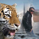  ,   MHER, 38 ,     , c 