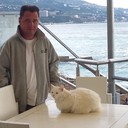 ���������� ��������, ���� ������� ����, 47 ���, ������������ ��� ������