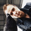 ���������� ����-�������, ���� ������� �����, 33 ����, ������������ ��� ������, ����� � ���������, c�������� ���������, ���������