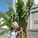  ,   , 58 ,   ,   