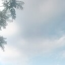 ���������� ������������, ���� ������� ������, 38 ���, ������������ ��� ������, ����� � ���������, c�������� ���������, ���������