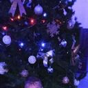 ���������� �������, ���� ������� �������, 47 ���, ������������ ��� ����� � ���������, c�������� ���������