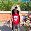 ���������� ��������, ���� ������� ������ �����, 41 ���, ������������ ��� ������, ����� � ���������