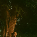 ���������� ���������, ���� ������� Bloody Fox, 26 ���, ������������ ��� ������, ����� � ���������, c�������� ���������