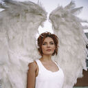 ���������� ������, ���� ������� �����, 26 ���, ������������ ��� ������, ����� � ���������