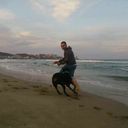 ���������� ���������, ���� ������� David, 38 ���, ������������ ��� ������, ����� � ���������, c�������� ���������