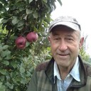   ,   , 62 ,   ,   , c 