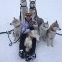 ���������� �����������, ���� ������� ������, 28 ���, ������������ ��� ������, ����� � ���������