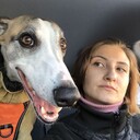 ���������� ������, ���� ������� ���������, 36 ���, ������������ ��� ����� � ���������, c�������� ���������, ���������