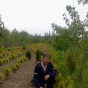 ���������� ������, ���� ������� �����, 56 ���, ������������ ��� ������