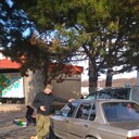 ���������� �����������, ���� ������� �������, 41 ���, ������������ ��� ������, ����� � ���������