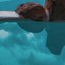 ���������� �����-���������, ���� ������� ������, 56 ���, ������������ ��� ������, ����� � ���������