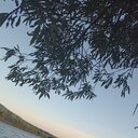 ���������� ���������, ���� ������� �������, 44 ����, ������������ ��� ������, ����� � ���������, c�������� ���������