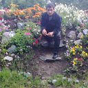  ,   , 33 ,     , c , 