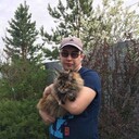 ���������� ������, ���� ������� ���������, 36 ���, ������������ ��� ������, ����� � ���������, c�������� ���������, ���������