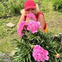  ,   , 65 ,   ,   