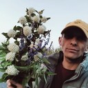  ,   , 30 ,   ,   , c , 