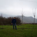 ���������� ��������, ���� ������� Rashad, 40 ���, ������������ ��� ������, ����� � ���������, c�������� ���������