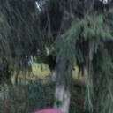 ���������� ���������, ���� ������� ��������, 46 ���, ������������ ��� ������, ����� � ���������, c�������� ���������, ���������