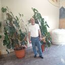  ,   , 55 ,     , c 