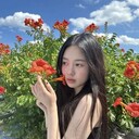 ,   Li, 27 ,   ,   