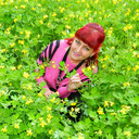  ,   , 56 ,   ,   , c 