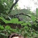 ���������� ������-��-����, ���� ������� ������, 33 ����, ������������ ��� ����� � ���������, c�������� ���������