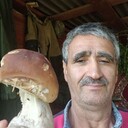 ���������� �����-���������, ���� ������� ����, 58 ���, ������������ ��� ������, ����� � ���������