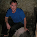 ���������� ����, ���� ������� ������, 43 ����, ������������ 