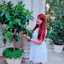  ,   , 31 ,   ,   , c , 