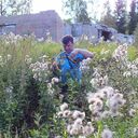 ���������� ������, ���� ������� �����, 55 ���, ������������ ��� ������, ����� � ���������, c�������� ���������