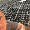 ���������� ������, ���� ������� ���������, 29 ���, ������������ ��� ������, ����� � ���������