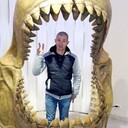   ,    , 50 ,   ,   , 