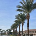  ,   , 47 ,   ,   , c , 