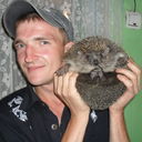 ���������� �������, ���� ������� �������, 41 ���, ������������ ��� ������, ����� � ���������, c�������� ���������