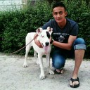 ���������� �������, ���� ������� Salim, 31 ���, ������������ ��� ������, ����� � ���������, c�������� ���������