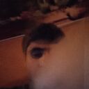  --,   , 29 ,   c , 