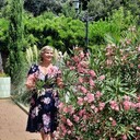 ���������� ����������, ���� ������� ��������, 49 ���, ������������ ��� c�������� ���������