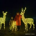 ���������� ������-��-����, ���� ������� ����, 59 ���, ������������ 