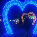 ���������� ����, ���� ������� ����, 33 ����, ������������ ��� ������, ����� � ���������, c�������� ���������