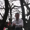 ���������� ������ �����, ���� ������� ������, 43 ����, ������������ ��� ������, ����� � ���������, c�������� ���������