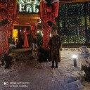 ���������� �����-���������, ���� ������� ����, 47 ���, ������������ ��� ����� � ���������, c�������� ���������