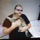  ,   , 54 ,     , c 