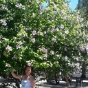  ,   , 46 ,   ,   , c 