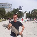 ���������� �������, ���� ������� ������� ����, 43 ����, ������������ ��� ������